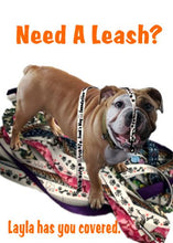 Load image into Gallery viewer, Pet Leash Large