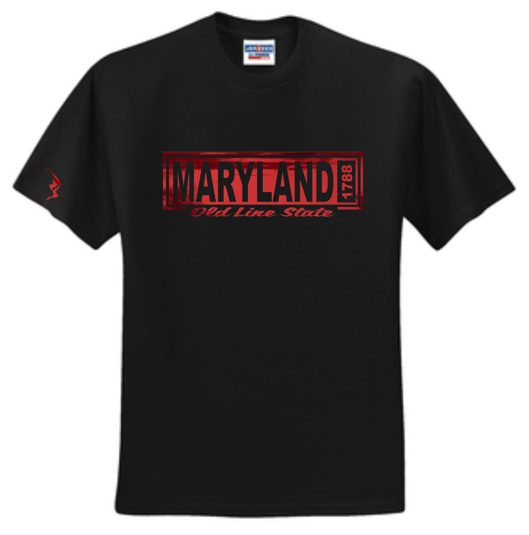 Maryland Est 1788