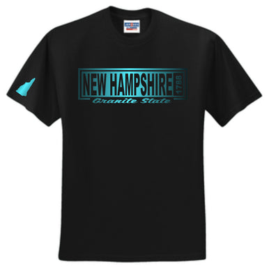 New Hampshire Est 1788